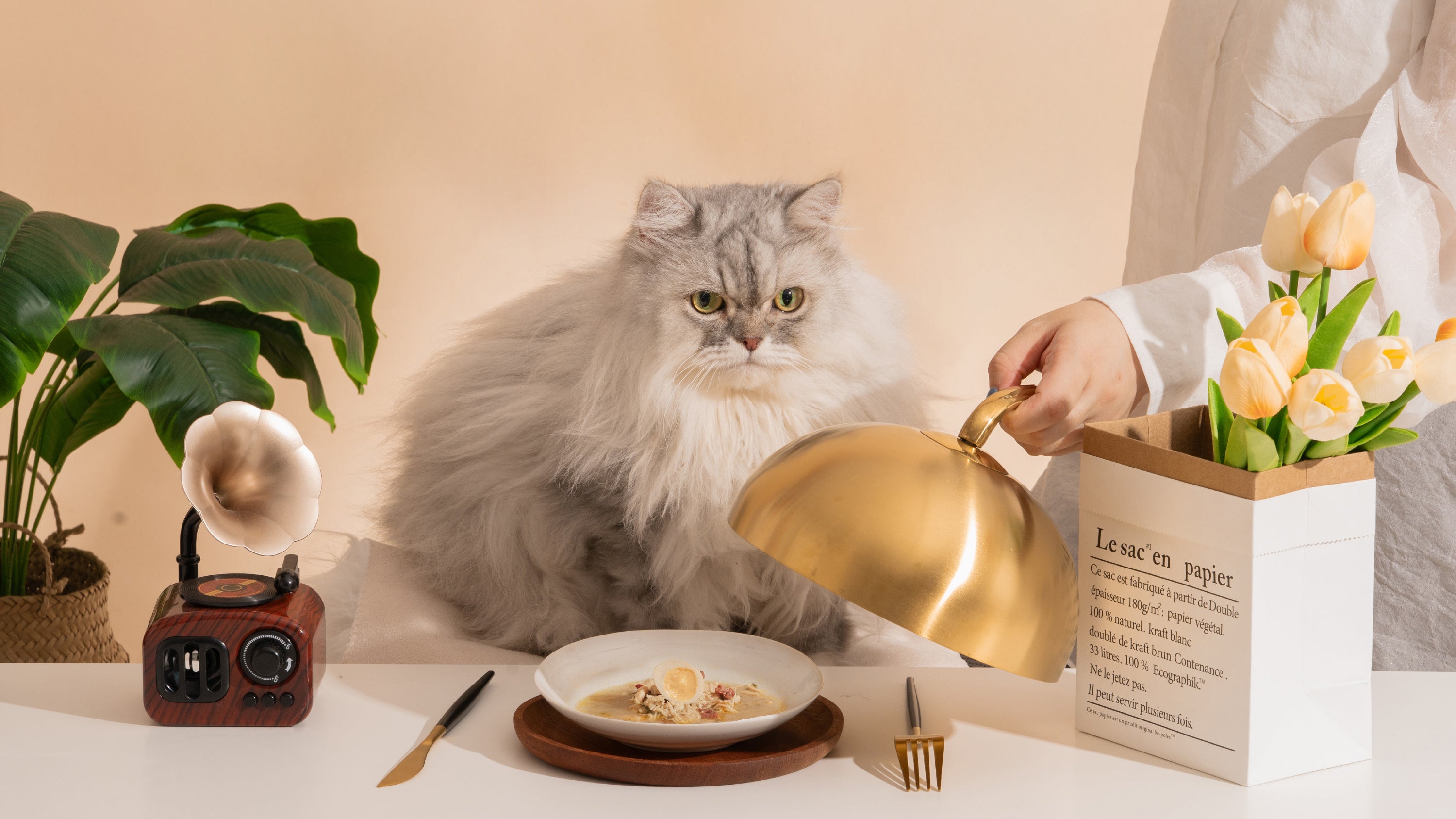 Fine-crafted culinary meals